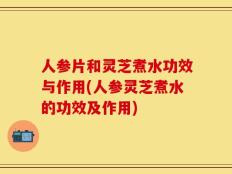人参片和灵芝煮水功效与作用(人参灵芝煮水的功效及作用)