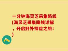 一分钟海灵芝采集路线(海灵芝采集路线详解，开启野外探险之旅！)