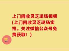 上门回收灵芝现场视频(上门回收灵芝现场实拍，关注微信公众号免费获取！)