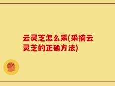 云灵芝怎么采(采摘云灵芝的正确方法)