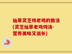 仙草灵芝炖老鸡的做法(灵芝仙草老鸡炖汤-营养美味又滋补)