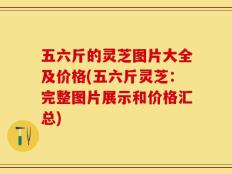 五六斤的灵芝图片大全及价格(五六斤灵芝：完整图片展示和价格汇总)