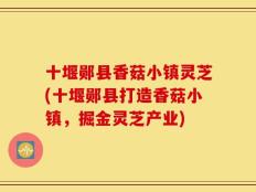 十堰郧县香菇小镇灵芝(十堰郧县打造香菇小镇，掘金灵芝产业)
