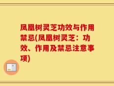 凤凰树灵芝功效与作用禁忌(凤凰树灵芝：功效、作用及禁忌注意事项)