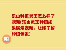 乐山种植灵芝怎么样了视频(乐山灵芝种植成果展示视频，让你了解种植情况)