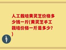 人工裁培黄灵芝价格多少钱一斤(黄灵芝手工栽培价格一斤是多少？)
