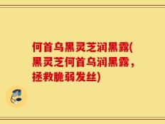 何首乌黑灵芝润黑露(黑灵芝何首乌润黑露，拯救脆弱发丝)