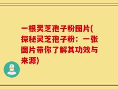 一根灵芝孢子粉图片(探秘灵芝孢子粉：一张图片带你了解其功效与来源)