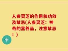 人参灵芝的作用和功效及禁忌(人参灵芝：神奇的营养品，注意禁忌！)