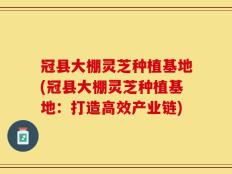 冠县大棚灵芝种植基地(冠县大棚灵芝种植基地：打造高效产业链)