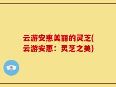 云游安惠美丽的灵芝(云游安惠：灵芝之美)