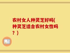 农村女人种灵芝好吗(种灵芝适合农村女性吗？)