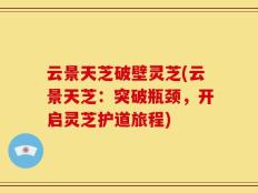 云景天芝破壁灵芝(云景天芝：突破瓶颈，开启灵芝护道旅程)