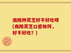南阳种灵芝好不好吃呀(南阳灵芝口感如何，好不好吃？)