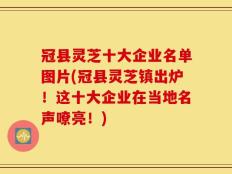 冠县灵芝十大企业名单图片(冠县灵芝镇出炉！这十大企业在当地名声嘹亮！)