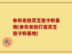 参农老段灵芝孢子粉基地(参农老段打造灵芝孢子粉基地)