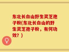 东北长白山野生灵芝孢子粉(东北长白山的野生灵芝孢子粉，有何功效？)