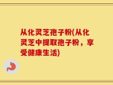 从化灵芝孢子粉(从化灵芝中提取孢子粉，享受健康生活)