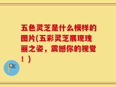 五色灵芝是什么模样的图片(五彩灵芝展现瑰丽之姿，震撼你的视觉！)