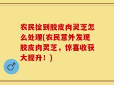 农民捡到胶皮肉灵芝怎么处理(农民意外发现胶皮肉灵芝，惊喜收获大提升！)