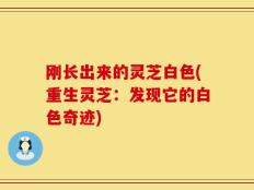 刚长出来的灵芝白色(重生灵芝：发现它的白色奇迹)