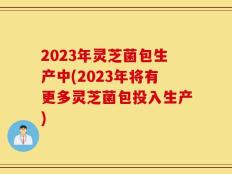 2023年灵芝菌包生产中(2023年将有更多灵芝菌包投入生产)