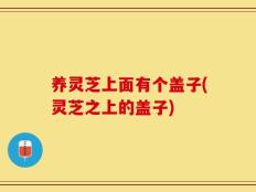 养灵芝上面有个盖子(灵芝之上的盖子)