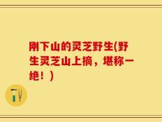 刚下山的灵芝野生(野生灵芝山上摘，堪称一绝！)