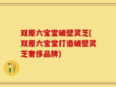双原六宝堂破壁灵芝(双原六宝堂打造破壁灵芝奢侈品牌)