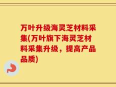 万叶升级海灵芝材料采集(万叶旗下海灵芝材料采集升级，提高产品品质)