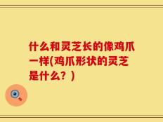 什么和灵芝长的像鸡爪一样(鸡爪形状的灵芝是什么？)