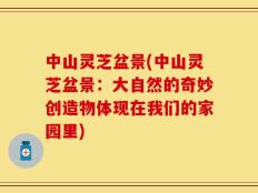 中山灵芝盆景(中山灵芝盆景：大自然的奇妙创造物体现在我们的家园里)