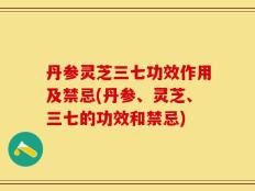 丹参灵芝三七功效作用及禁忌(丹参、灵芝、三七的功效和禁忌)