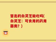 冒出的白灵芝能吃吗(白灵芝：可食用的药用菌类？)