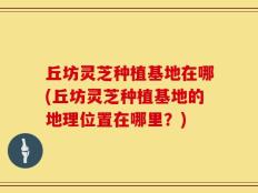 丘坊灵芝种植基地在哪(丘坊灵芝种植基地的地理位置在哪里？)