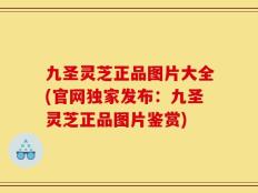 九圣灵芝正品图片大全(官网独家发布：九圣灵芝正品图片鉴赏)
