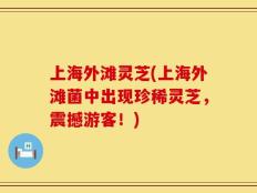 上海外滩灵芝(上海外滩菌中出现珍稀灵芝，震撼游客！)
