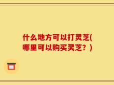 什么地方可以打灵芝(哪里可以购买灵芝？)