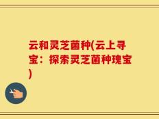 云和灵芝菌种(云上寻宝：探索灵芝菌种瑰宝)