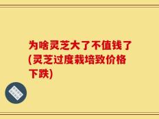 为啥灵芝大了不值钱了(灵芝过度栽培致价格下跌)