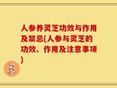 人参养灵芝功效与作用及禁忌(人参与灵芝的功效、作用及注意事项)