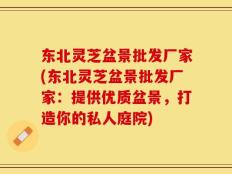 东北灵芝盆景批发厂家(东北灵芝盆景批发厂家：提供优质盆景，打造你的私人庭院)