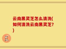 云南黑灵芝怎么清洗(如何清洗云南黑灵芝？)