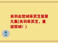 关羽去樊城采灵芝是第几集(关羽采灵芝，重返樊城！)
