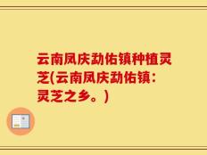 云南凤庆勐佑镇种植灵芝(云南凤庆勐佑镇：灵芝之乡。)