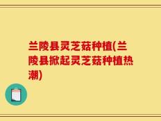 兰陵县灵芝菇种植(兰陵县掀起灵芝菇种植热潮)