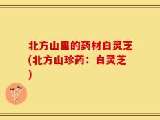 北方山里的药材白灵芝(北方山珍药：白灵芝)