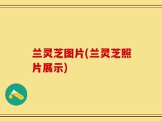 兰灵芝图片(兰灵芝照片展示)