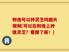 刺槐可以种灵芝吗图片视频(可以在刺槐上种植灵芝？看图了解！)