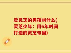 卖灵芝的男孩叫什么(灵芝少年：用6年时间打造的灵芝帝国)